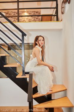 报告夫人漫画免费