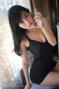 一路向西2之泰西下载